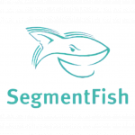 Сегмент Фиш