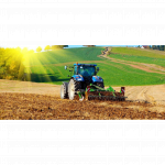 АО Новгородское Зерновое Предприятие 28